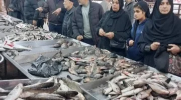 تحركات جديدة في أسعار السمك والبلطي داخل أسواق القليوبية اليوم الأحد